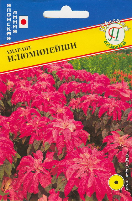 Амарант Илюминейшн однолетник 25шт (Престиж)