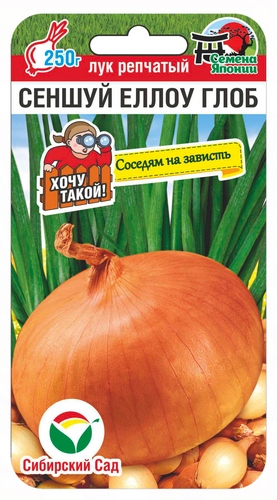 Лук репчатый Сеншуй Еллоу Глоб 50шт (Сиб Сад)