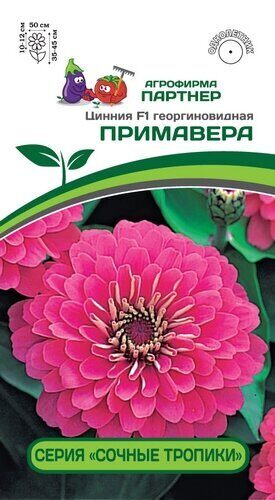 Цинния Примавера F1 Сочные тропики георгоновидная 4шт (Партнер)