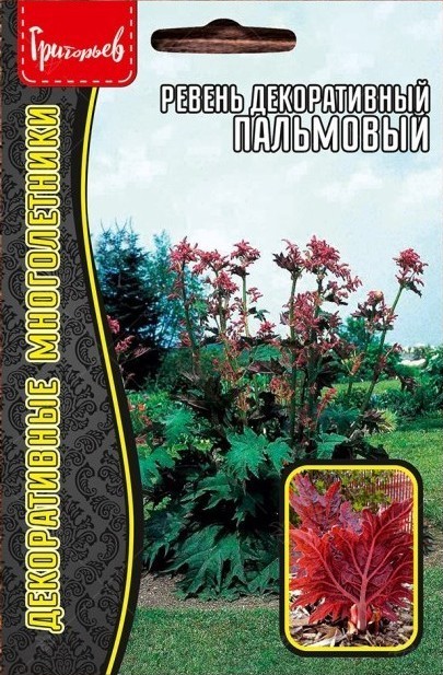 Ревень Пальмовый декоративный 0,1г (Ред.Сем)