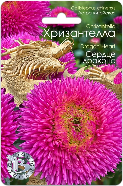 Астра ХРИЗАНТЕЛЛА Сердце дракона однолетник 30шт (Биотехника)