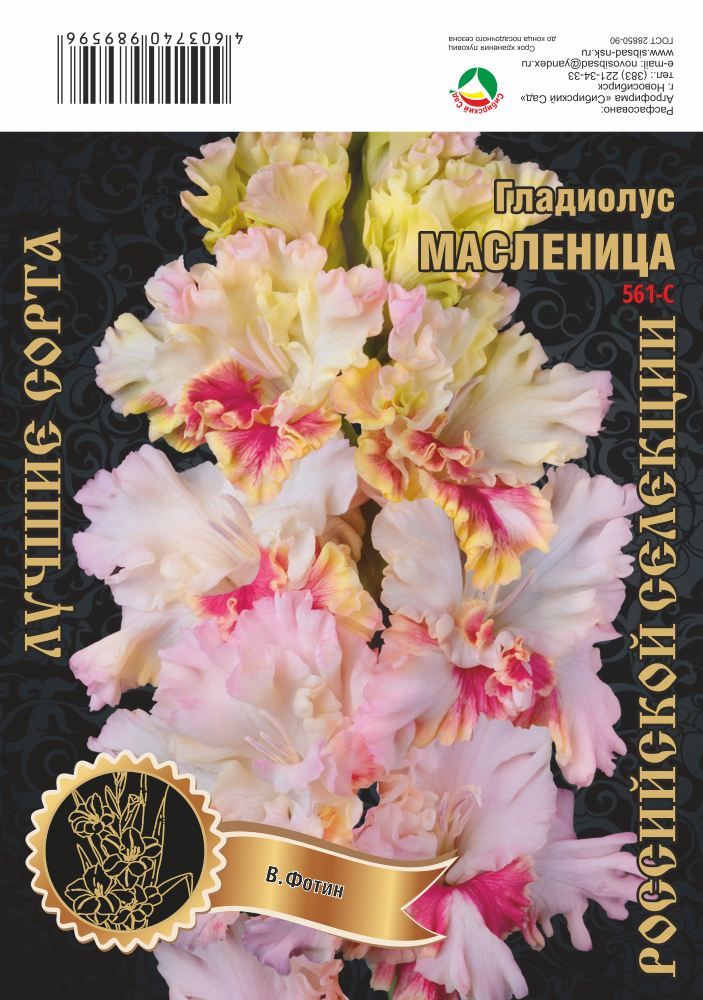 Гладиолус Масленица 561,Фотин 1 р-р 1шт (Ф)
