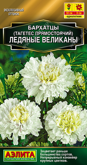 Бархатцы Ледяные велеканы однолетник 7шт (Аэлита)