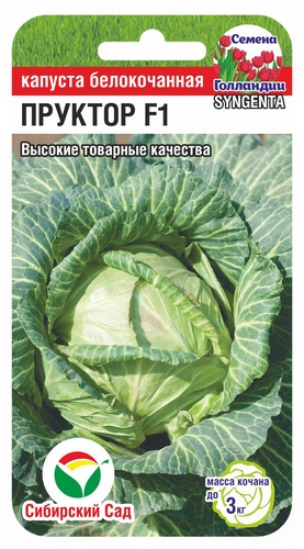Капуста белокочанная Пруктор F1 10шт (Сиб Сад)