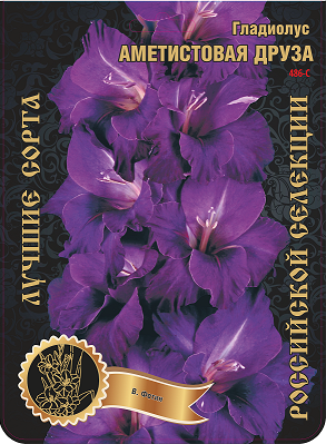 Гладиолус Аметистовая Друза (В-15-374-А) 486,Фотин 1 р-р 1шт (Ф)