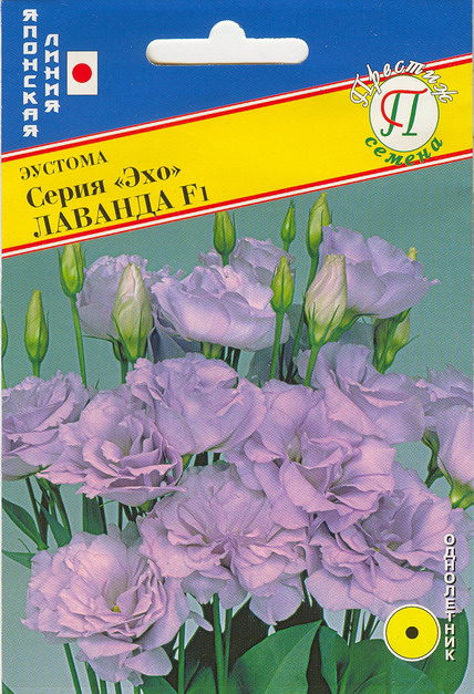 Эустома Эхо Лаванда F1 10шт (Престиж)