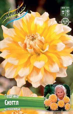 Георгина Сиэттл 1шт (Колорлайн)