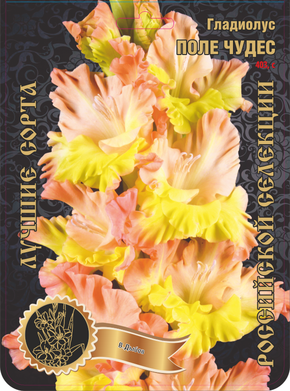 Гладиолус Поле Чудес 403,Дыбов 2 р-р 1шт (Ф)
