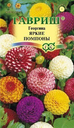 Георгина Яркие помпоны смесь однолетник 0,2г (Гавриш)