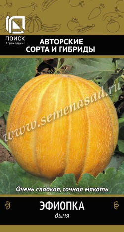 Дыня Эфиопка 15шт (Поиск)