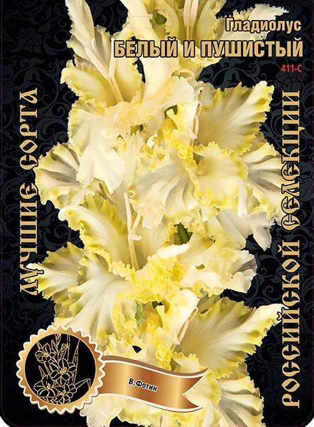 Гладиолус Белый и Пушистый 411,Фотин 1 р-р 1шт (Ф)