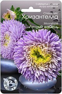 Астра ХРИЗАНТЕЛЛА Лунный камень однолетник 30шт (Биотехника)