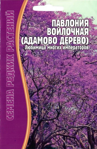 Павлония войлочная (Адамово дерево) 10шт (Ред.сем)