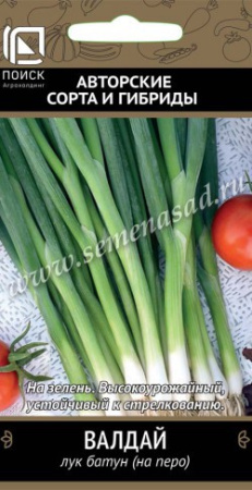 Лук Батун Валдай 1г (Поиск)