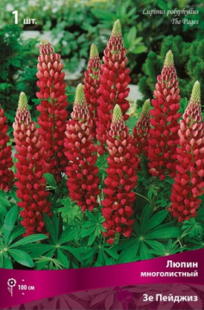 Люпин Зе Пейджиз 1шт (Поиск)