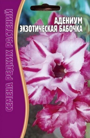 Адениум Экзотическая Бабочка 3шт (Ред.Сем)