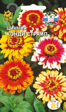 Цинния Кэнди страйп 0,5г (Седек)