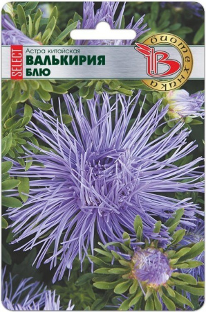 Астра ВАЛЬКИРИЯ Селект Блю 30шт (Биотехника)