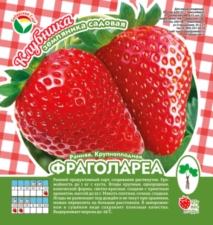 Клубника Фраголареа А 10шт/пучок (Сиб сад)