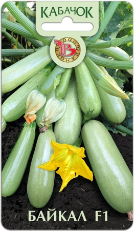 Кабачок Байкал F1 5шт (Биотехника)