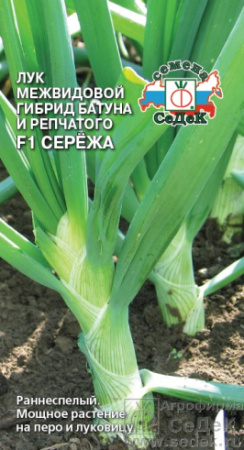Лук Батун Сережа 0,3г (Седек)
