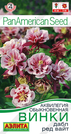 Аквилегия Винки Дабл Ред Вайт 4шт (Аэлита)