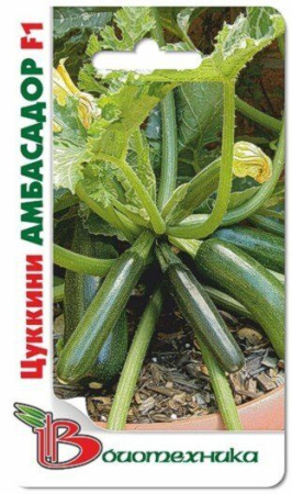 Кабачок Амбасадор F1 цуккини 5шт (Биотехника)