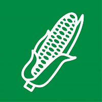 Кукуруза