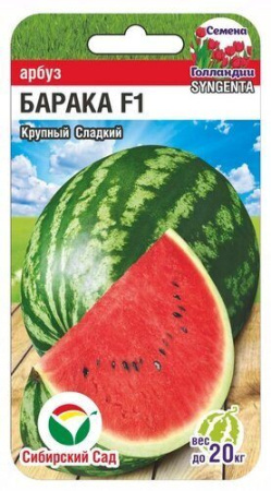 Арбуз Барака F1 3шт (Сиб Сад)