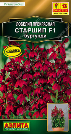 Лобелия Старшип бургунди F1 многолетник 5шт (Аэлита)