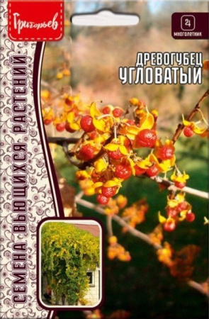 Древогубец угловатый 25шт (Ред.Сем)