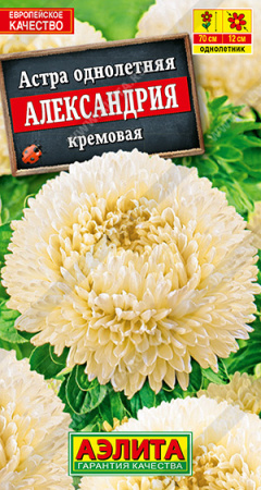 Астра Александрия Кремовая однолетник 0,1г (Аэлита)