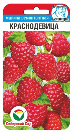 Малина Краснодевица 10шт (Сиб Сад)