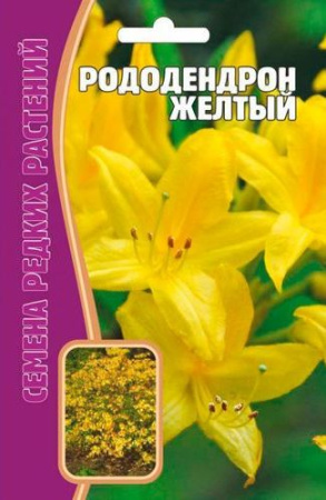 Рододендрон Желтый 25шт (Ред.сем)
