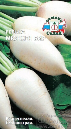 Редька Мюнхен Бир (Седек)