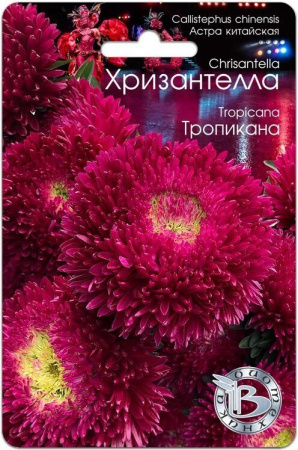 Астра ХРИЗАНТЕЛЛА Тропикана однолетник 30шт (Биотехника)