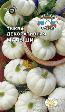 Тыква Малыши декоративная 1г (Седек)