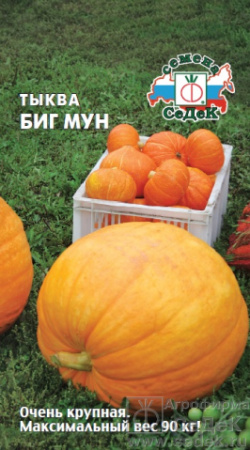 Тыква Биг Мун 2г (Седек)