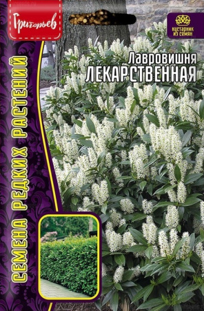 Лавровишня Лекарственная 3 шт (Ред.Сем)